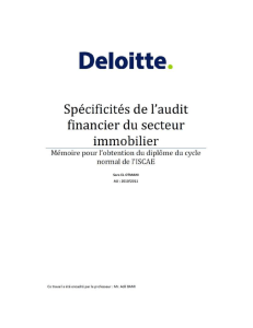 145071693-www-banquedesetudes-com-Specificites-de-l-Audit-Financier-du-secteur-immobilier-cabinet-Deloitte 2