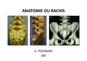 Anatomie+du+rachis