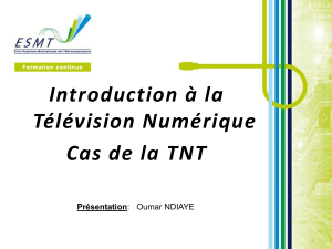 Introduction TNT 
