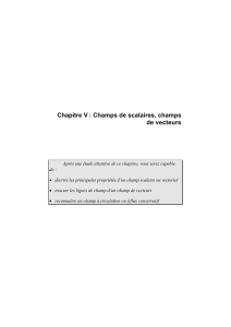 C05-CHAMPS-DE-VECTEURS