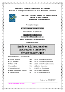 Thèse : Séparateur à Induction Électromagnétique