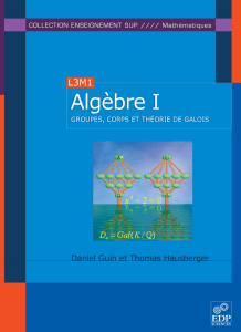 (Collection enseignement sup., Mathématiques) Daniel Guin  Thomas Hausberger - Algèbre.   Tome 1, Groupes, corps et théorie de Galois-EDP Sciences (2008)