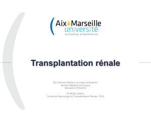 Transplantation rénale Pr Moal