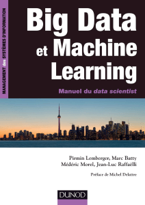 Big data et machine learning   manuel du data scientist (2015)