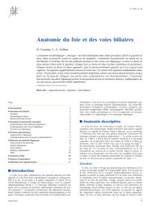 CASTAING. D et SMAIL EMC 3(Elsevier Paris) Hépatologie 7001 A10 Anatomie du foie et des voies biliaires 1999, 12p