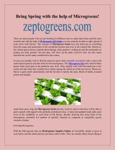 Bring Spring with the help of Microgreens-converted