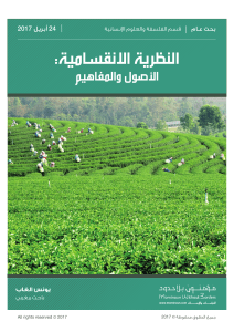 النظرية الانقسامية