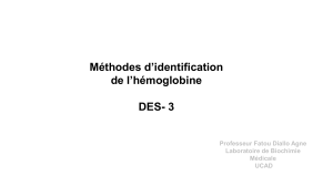 Hémoglobine - DES 3