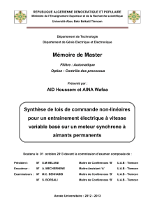 339714804-memoire-MSAP-pdf