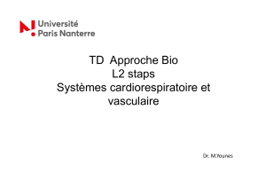 TD L2 Approche bio Systemes cardiorespiratoire et vasculaire M-Younes