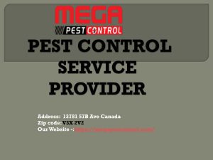 How To Choose Best Company To Control Pest
