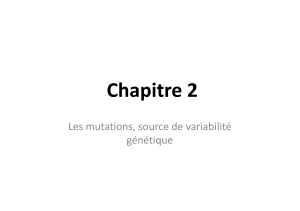 02 chapitre 2 les mutations