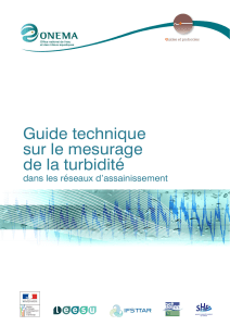 Guide-Turbidite(1)