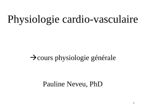 Physio CardioVasc