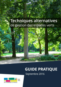 Guide-UNEP-Techniques-alternatives