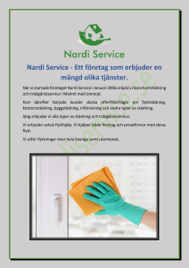 Nardi Service - Ett företag som erbjuder en mängd olika tjänster