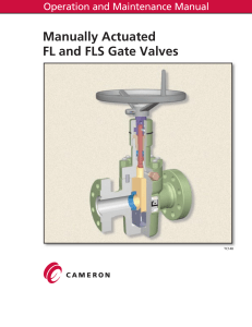 125368226-Manually-Actuated-FL-and-FLS-Gate-Valves