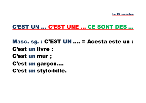 5 - c'est un ... c'est une ...ce sont des