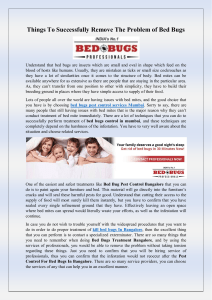 Things To Successfully Remove The Problem of Bed Bugs