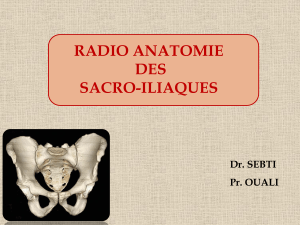 Radioanatomie des sacroiliaques