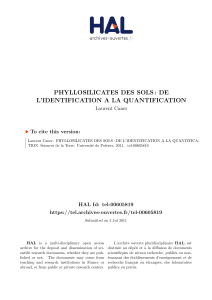 Phyllosilicates des Sols de l'identification à la quantification Laurent CANER HABILITATION 2011