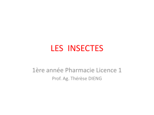 Cours de Pharmacie : Les Insectes - Morphologie, Cycle, Classification