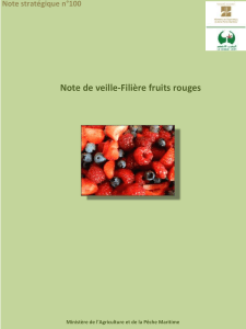 140723-note veille fruits rouges-sl