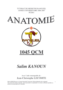 QCM anatomie