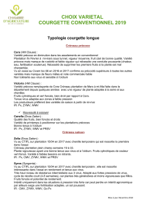 Courgette: Guide de Choix Vari&eacute;tal Conventionnel 2019