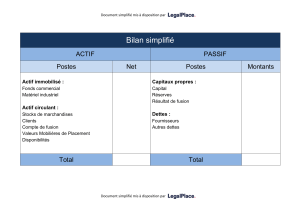 Annexe-Bilan-comptable-simplifie-LegalPlace