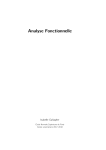 AnalyseFonctionnelle-version courte