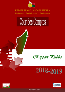 RAPPORT-PUBLIC-2018-2019-DE-LA-COUR-DES-COMPTES