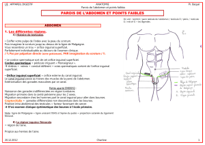 2012 01 20 - UE DIGESTIF - ANATOMIE - Pr. Baqué - Parois de l'abdomen et points faibles.