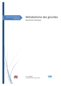 Métabolisme des glucides - Cours de biochimie clinique