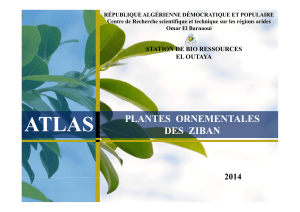 Atlas des plantes ornementales des ziban; Algérie