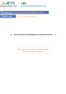 dissertation plethore institutionnelle reff1