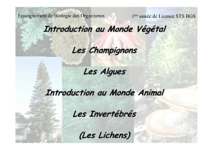 Introduction au Monde VégétalV. Les Champignons. Les Algues. Introduction au Monde Animal. Les Invertébr. (Les Lichens)