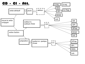 Schéma : CD-CI-Attribut et leurs groupes syntaxiques 