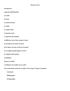 Soci&eacute;t&eacute; de masse et m&eacute;dias : Plan de travail
