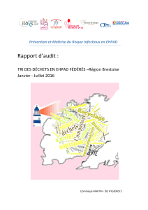 rapport-audit-tri-des-dechets 2