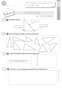 ce2-evaluation-triangles