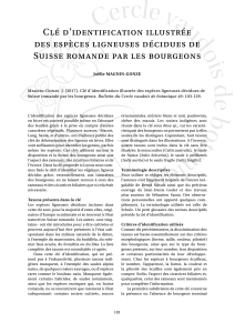 Clé d'identification : Arbres à feuilles caduques de Suisse Romande