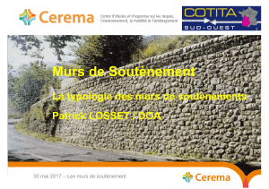 la typologie des murs de soutenement