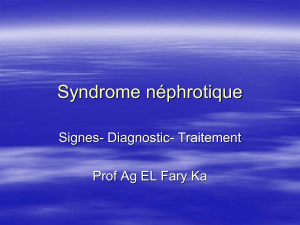 02- Syndrome néphrotique