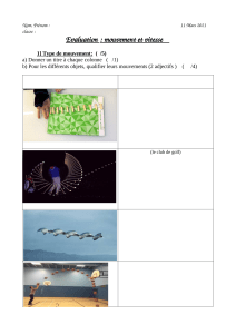 evaluation_Mouvement_6e