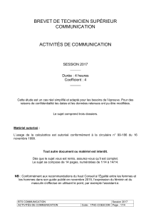 BTS Communication  2017  E5  Nouvelle Calédonie  Sujet Mascarin version word (2)