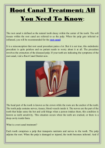 Root Canal Treatment; All You Need To Know