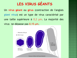 Virus géants