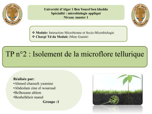 isolement de la microflore tellurique