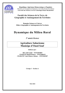 Agriculture Saharienne Oued Souf